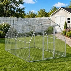 Walk-in Chicken Run: Practical Design for Your Home