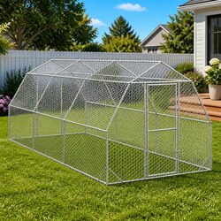 Practical Chicken Run 2.5x6x2.25m for Your Backyard