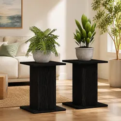Functional Black Plant Stands Set of 2 for Your Home
