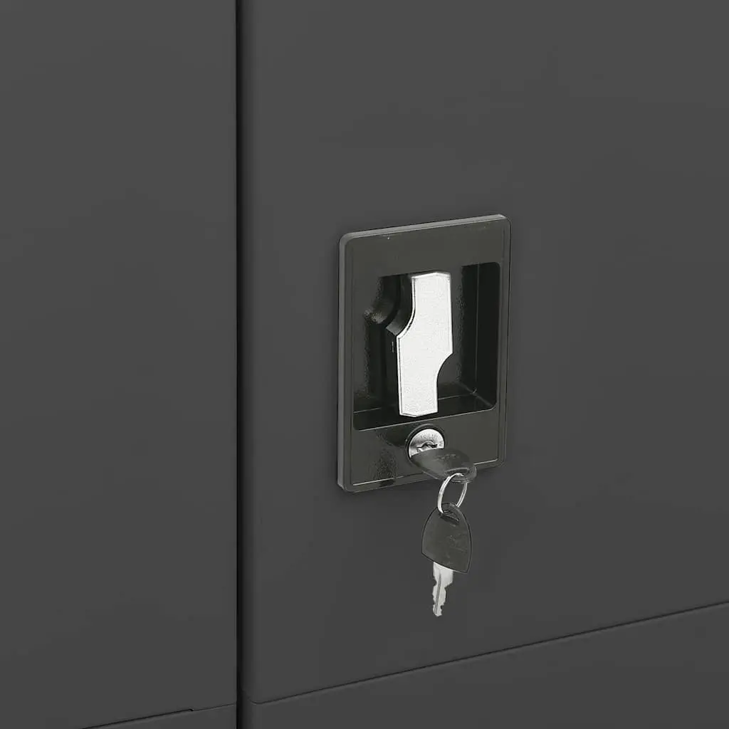 Steel Locker Cabinet for Home Organization