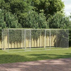 Practical Outdoor Kennel for Your Large Dog