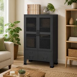 Versatile Storage Chest for Home or Office Use