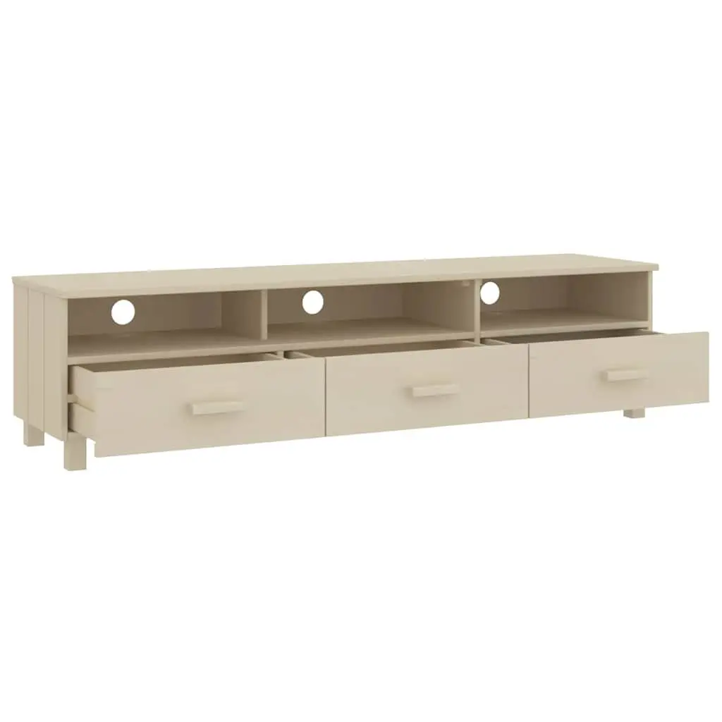 TV Cabinet for Living Room Storage Needs