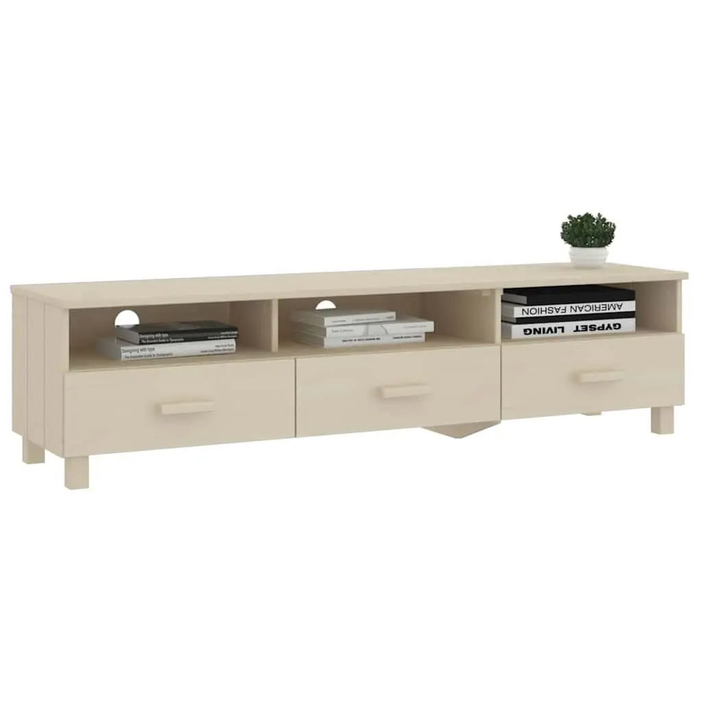 TV Cabinet for Living Room Storage Needs