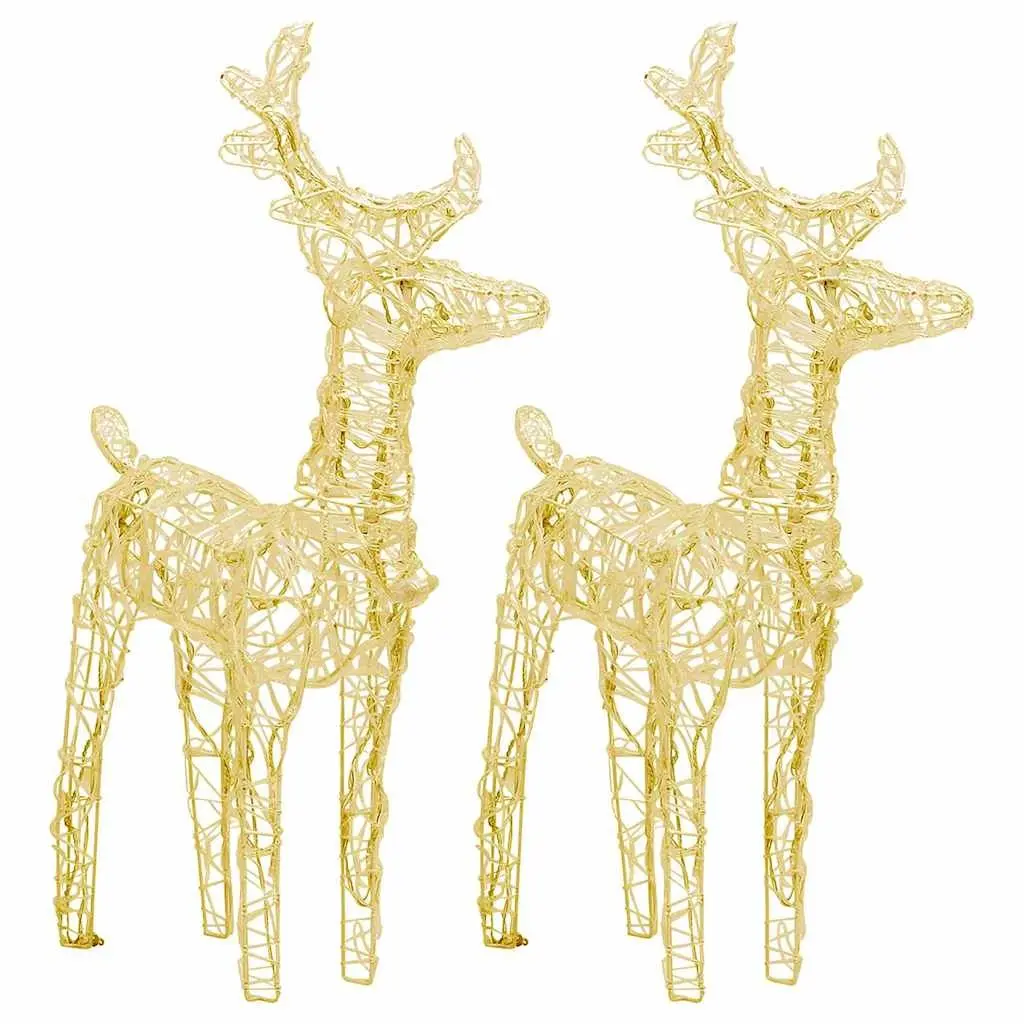 Christmas Reindeer LED Lights Acrylic 2 Piece Set Warm White Outdoor Yard Decoration