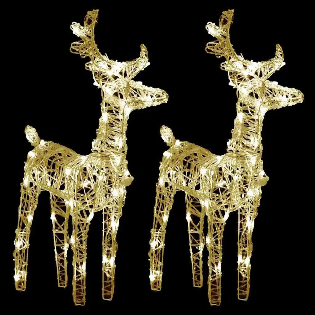 Christmas Reindeer LED Lights Acrylic 2 Piece Set Warm White Outdoor Yard Decoration