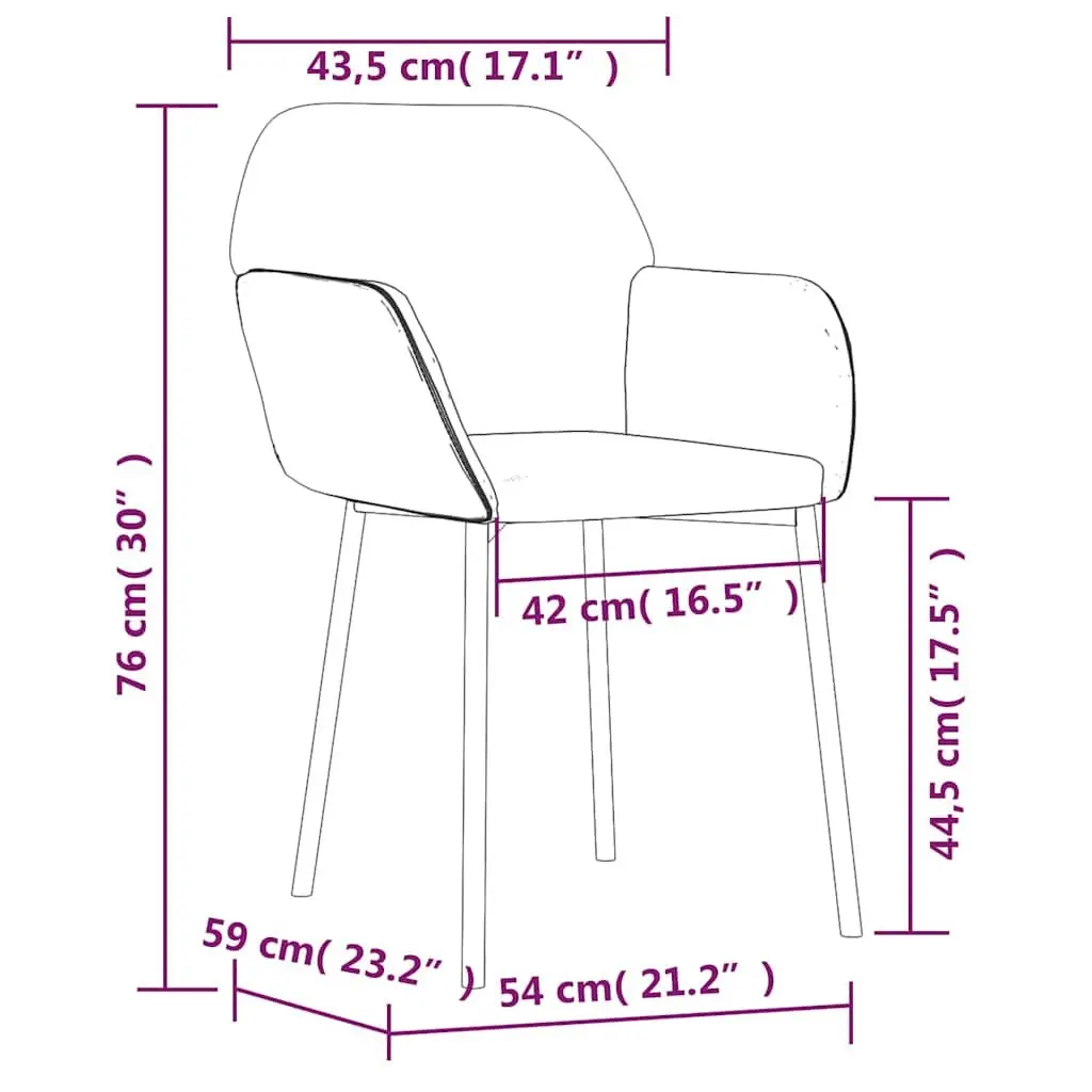 Dining Chairs Velvet Black 2 pcs Padded Armrest Backrest Metal Plywood Frame