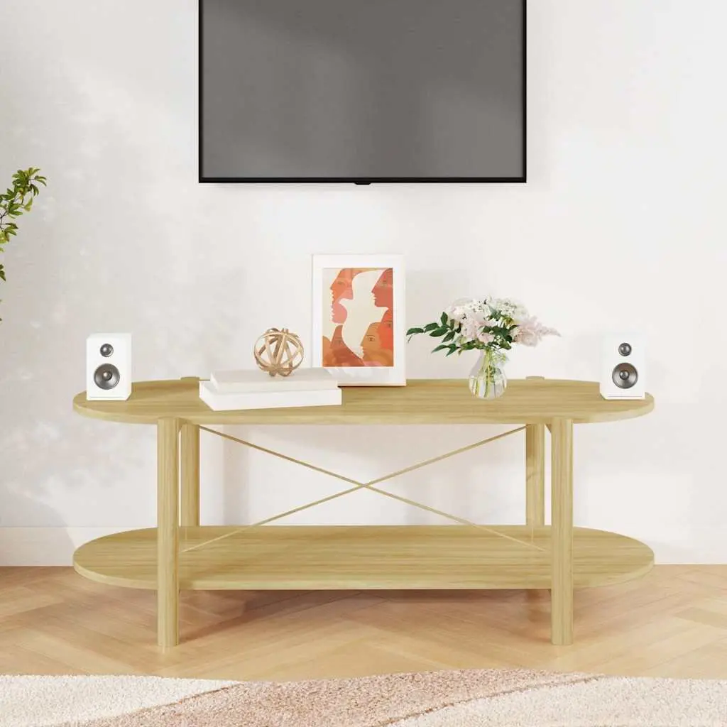 Brown Engineered Wood Coffee Table 110x48x40cm with Storage Space