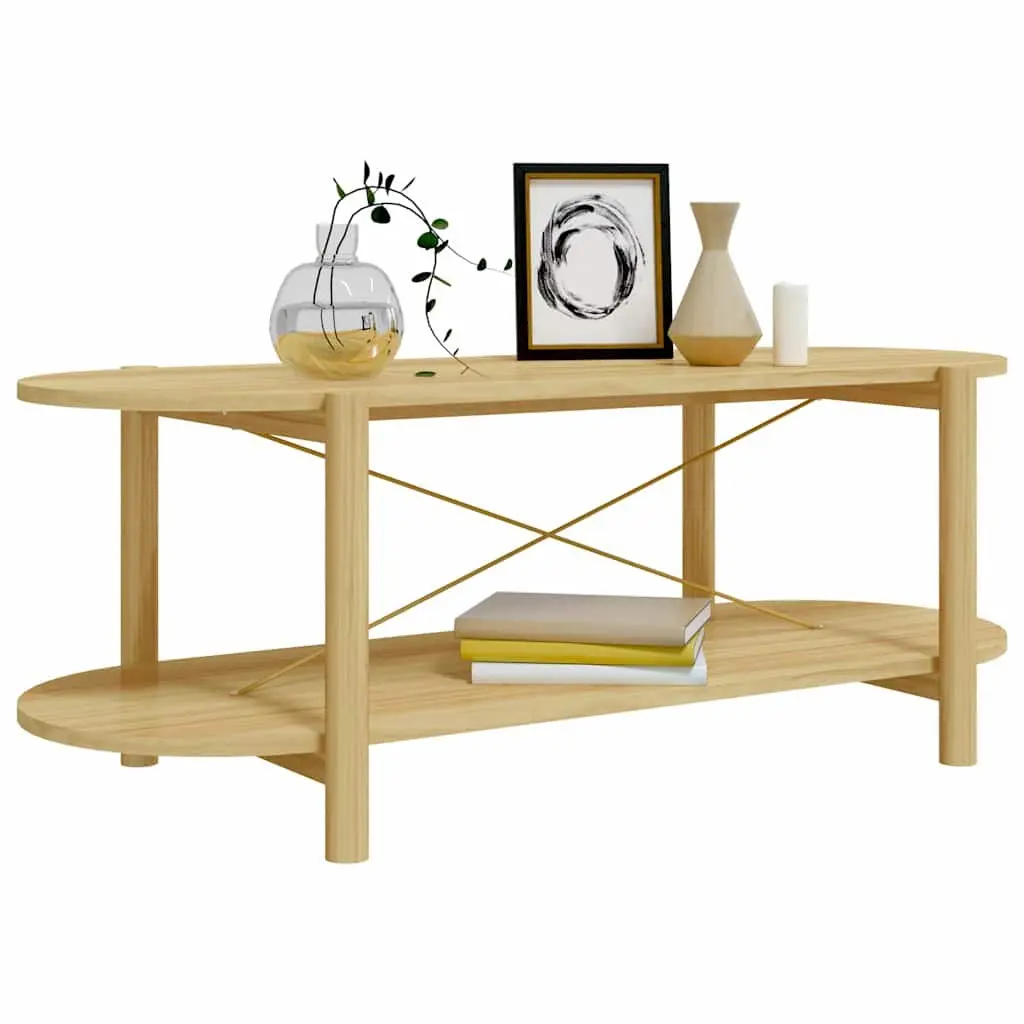 Brown Engineered Wood Coffee Table 110x48x40cm with Storage Space