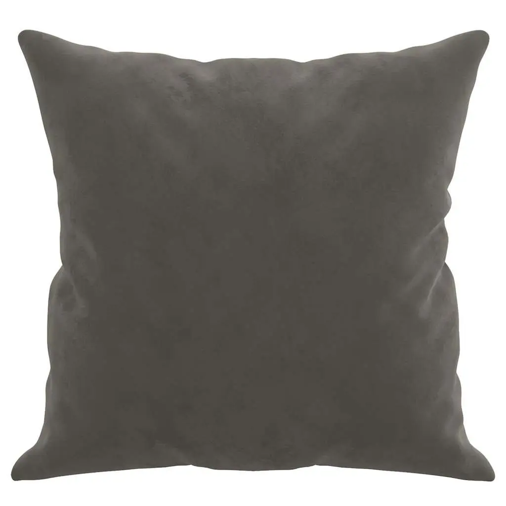 Throw Pillows Velvet Dark Grey 40x40 cm Soft Square Cushions 2 pcs Decor