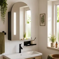 Functional Black Bathroom Mirror Cabinet with LED Lighting