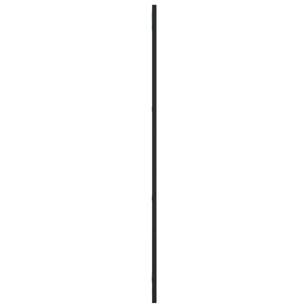 Wall Mirror Glass Iron Black 30x100 cm Vertical Horizontal Mount Home Decor