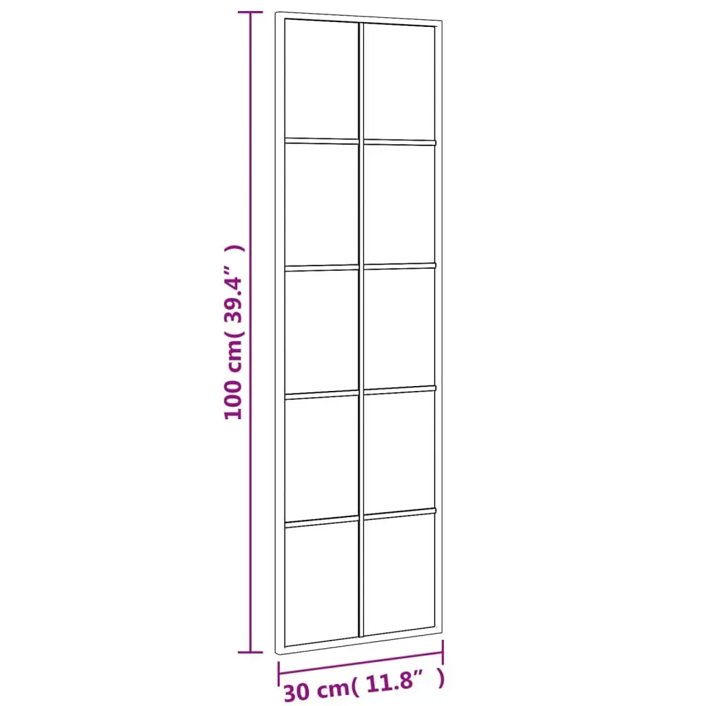 Wall Mirror Glass Iron Black 30x100 cm Vertical Horizontal Mount Home Decor