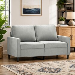 Functional 2-Seater Sofa for Relaxation and Entertainment