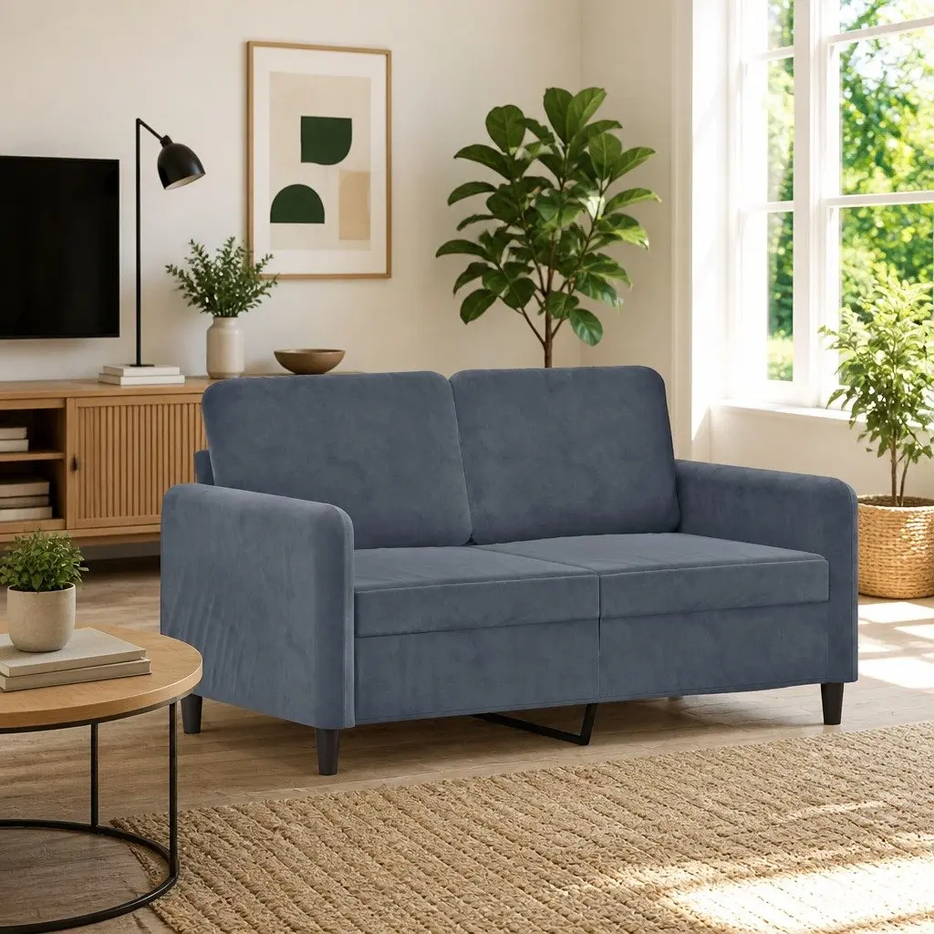 2-Seater Sofa Grey Velvet 120cm Modern Living Room Couch Comfortable Padded