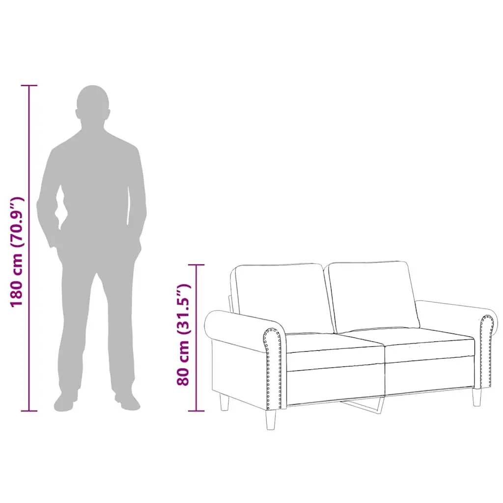 2-Seater Sofa Grey Velvet 120cm Modern Living Room Couch Comfortable Padded
