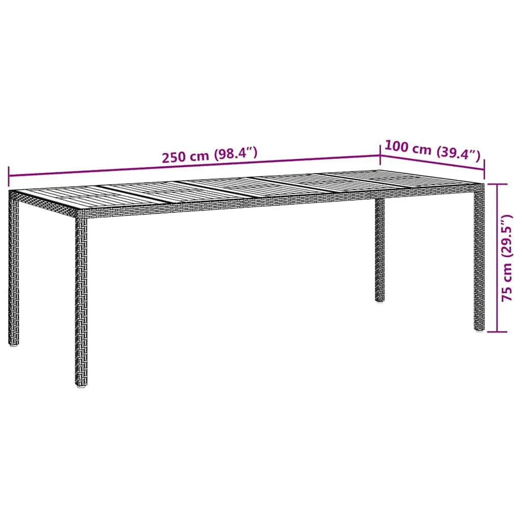 Outdoor Dining Table Black Poly Rattan 250x100x75cm Steel Frame Garden Furniture