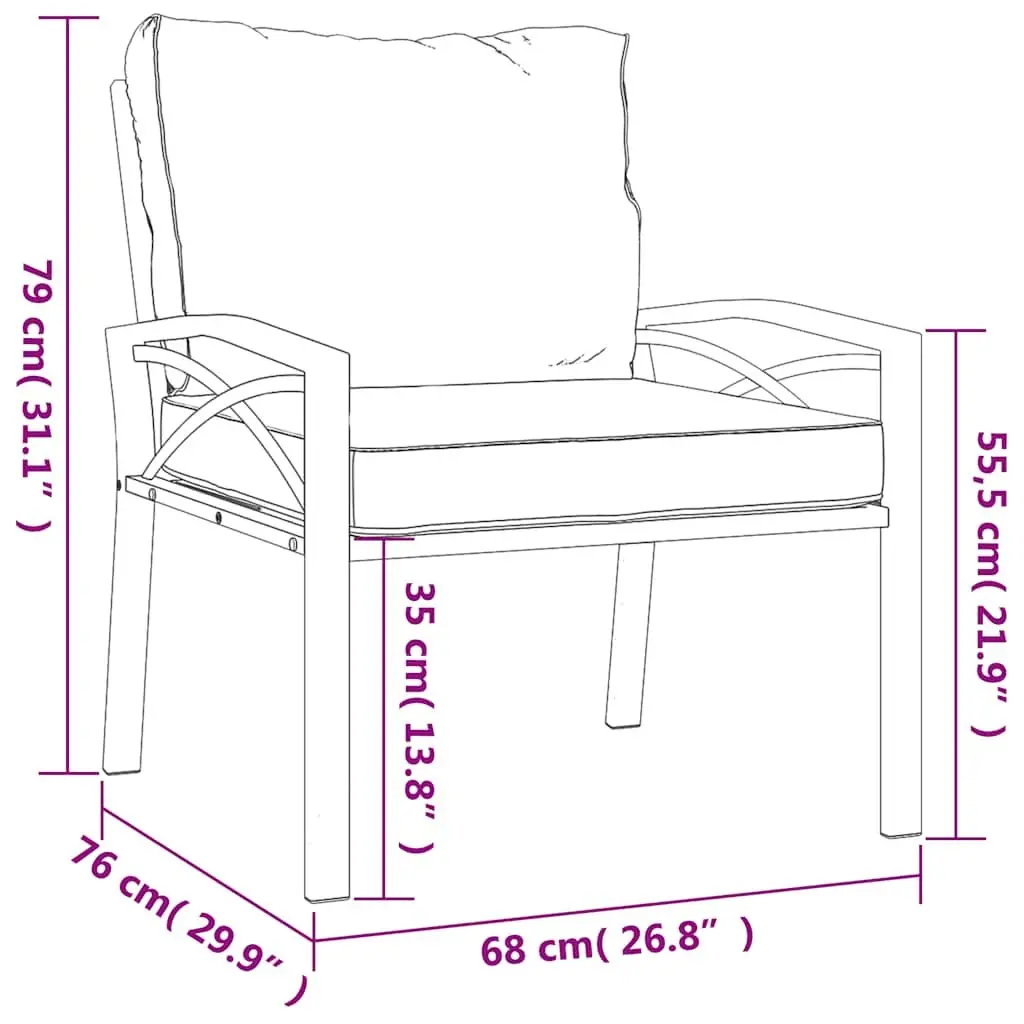 Outdoor Garden Chairs Steel Frame 2 Piece Set Black with Cushions