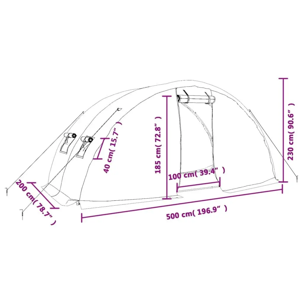 Greenhouse Steel Frame 5 x 2 x 2.3 m White UV-resistant PE Cover