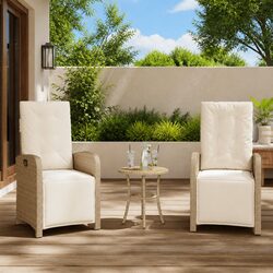 Practical Garden Chairs: Adjustable Reclining Seating for Two