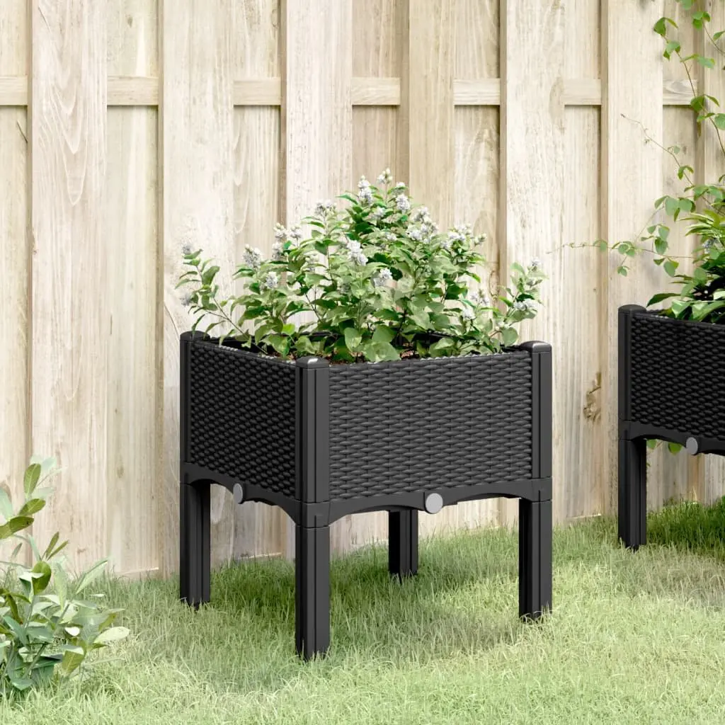 Garden Planter Box Elevated Polypropylene 40x40x42cm Black Rattan
