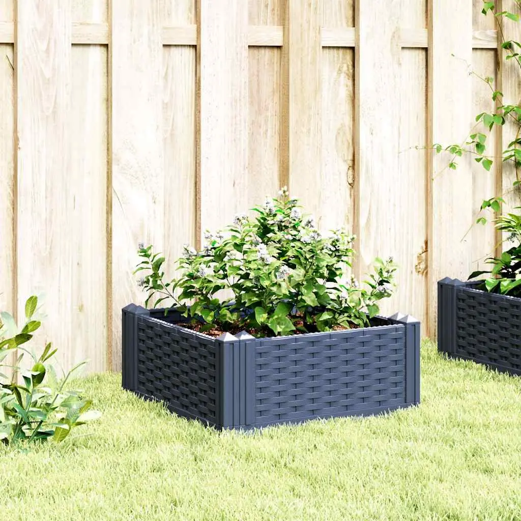 Garden Planter for Vegetables and Flowers