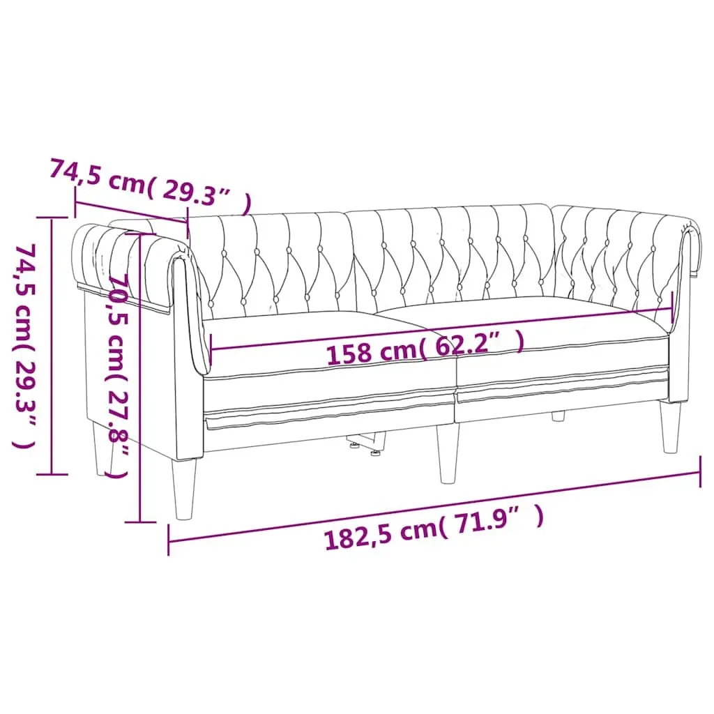 2-Seater Sofa for Lounging and Relaxing