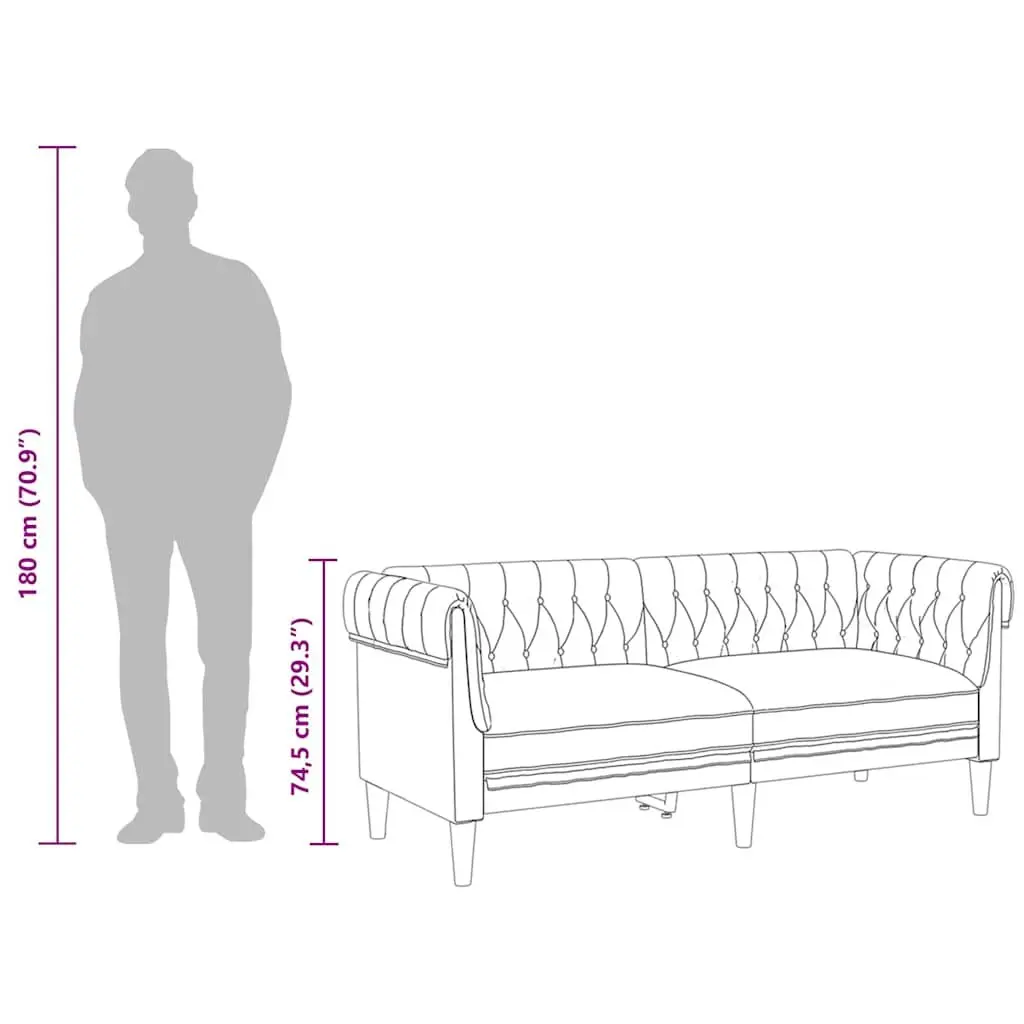 2-Seater Sofa for Lounging and Relaxing