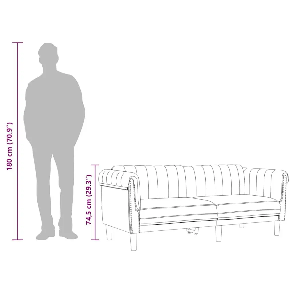 2-Seater Sofa Grey Velvet Living Room Couch Modern Comfortable Furniture