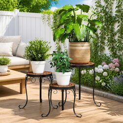 Versatile Plant Stands for Any Room or Garden