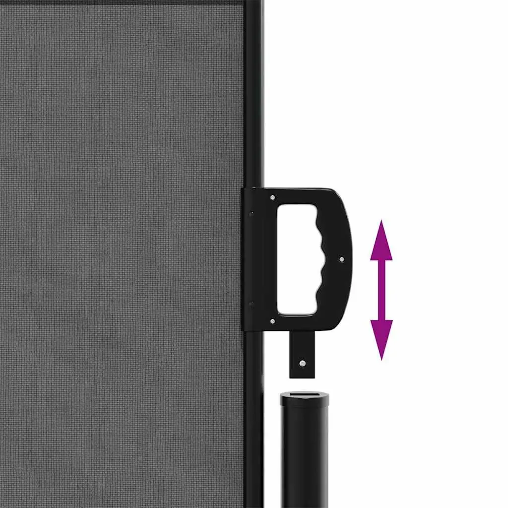 Retractable Side Awning 100x300cm Anthracite