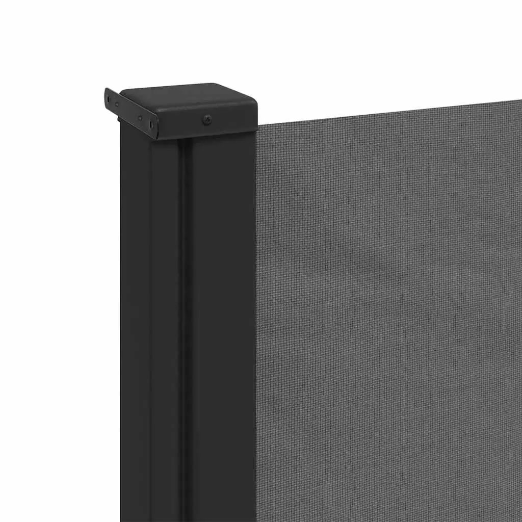 Retractable Side Awning 100x300cm Anthracite