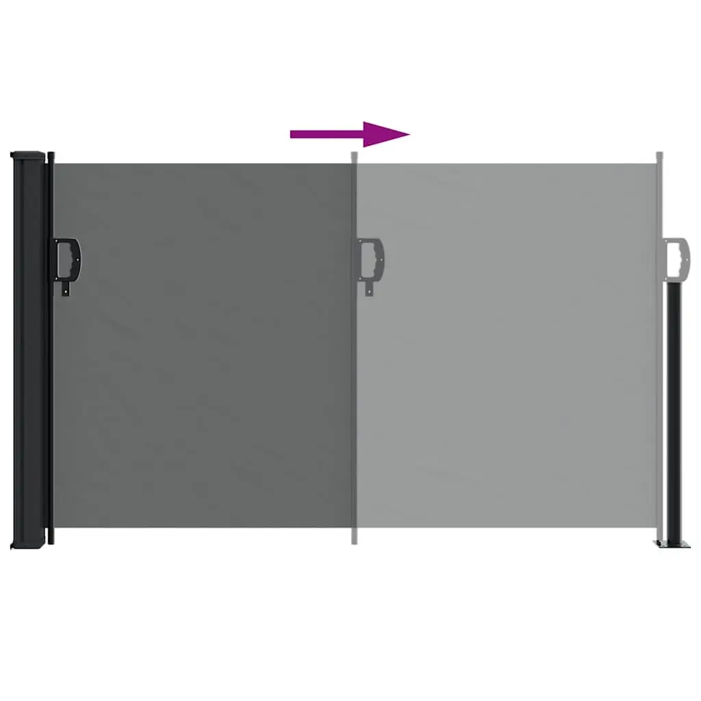Retractable Awning Privacy Screen Anthracite 300cm x 117cm Garden Shade Outdoor Patio Structure