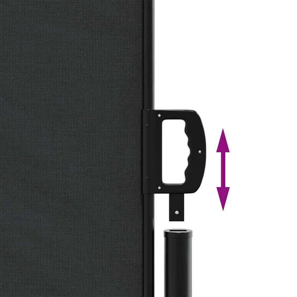 Retractable Side Awning Polyester 160x300 cm Black Garden Privacy Screen Outdoor Patio