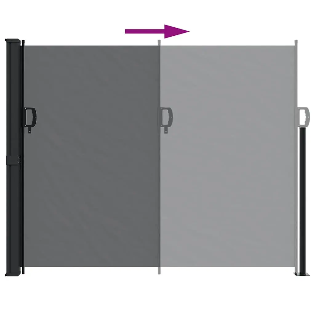 Retractable Side Awning Polyester 160x300 cm Black Garden Privacy Screen Outdoor Patio