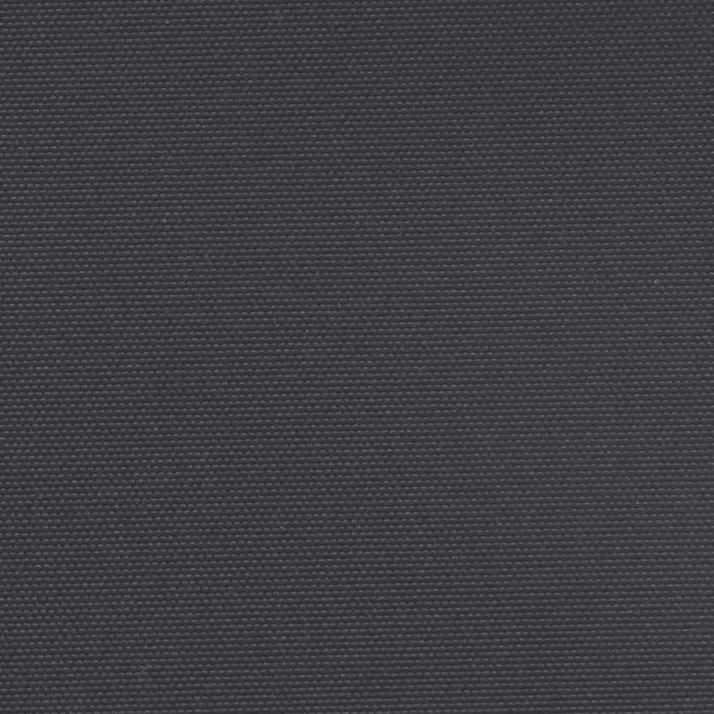 Retractable Side Awning Polyester 160x300 cm Black Garden Privacy Screen Outdoor Patio
