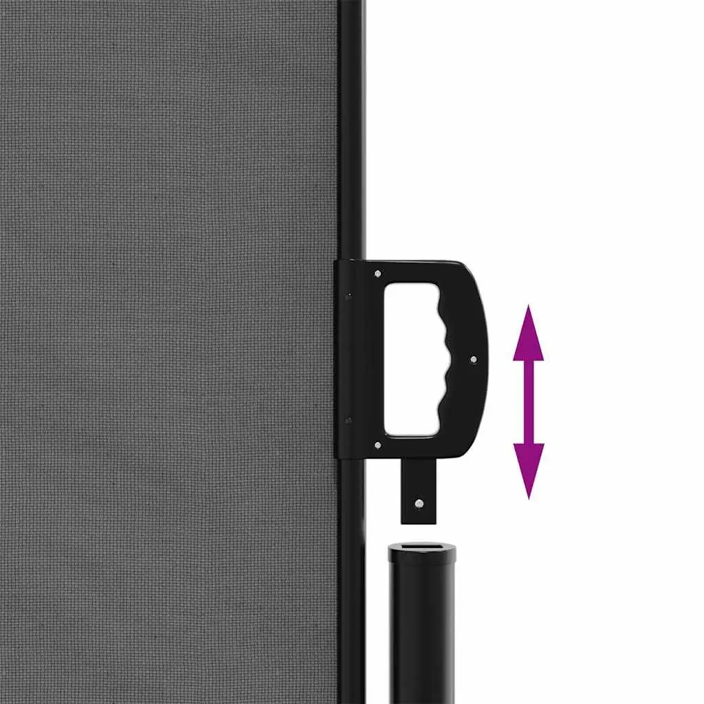 Retractable Awning Privacy Screen Outdoor Patio Balcony Garden Anthracite 180cm x 300cm Water Resistant Polyester