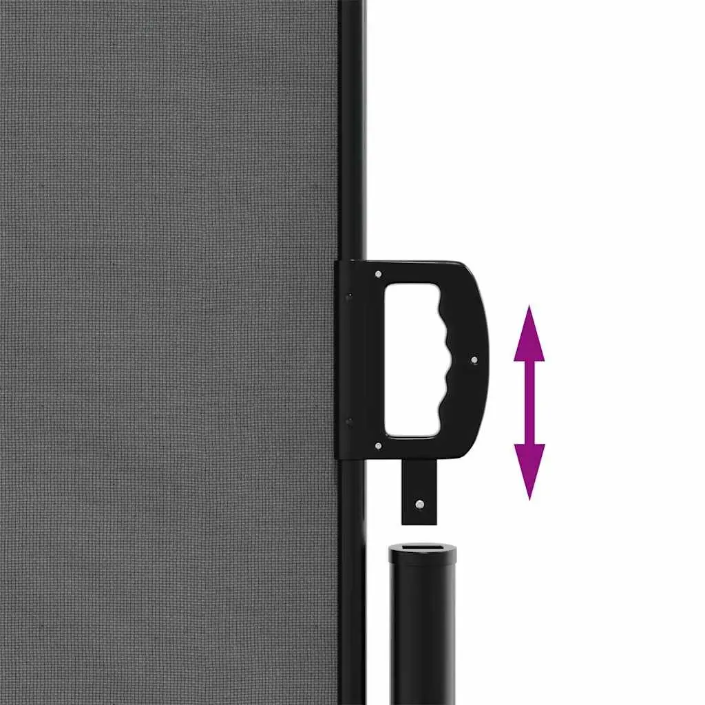 Retractable Side Awning Privacy Screen Polyester 200 x 300 cm Anthracite