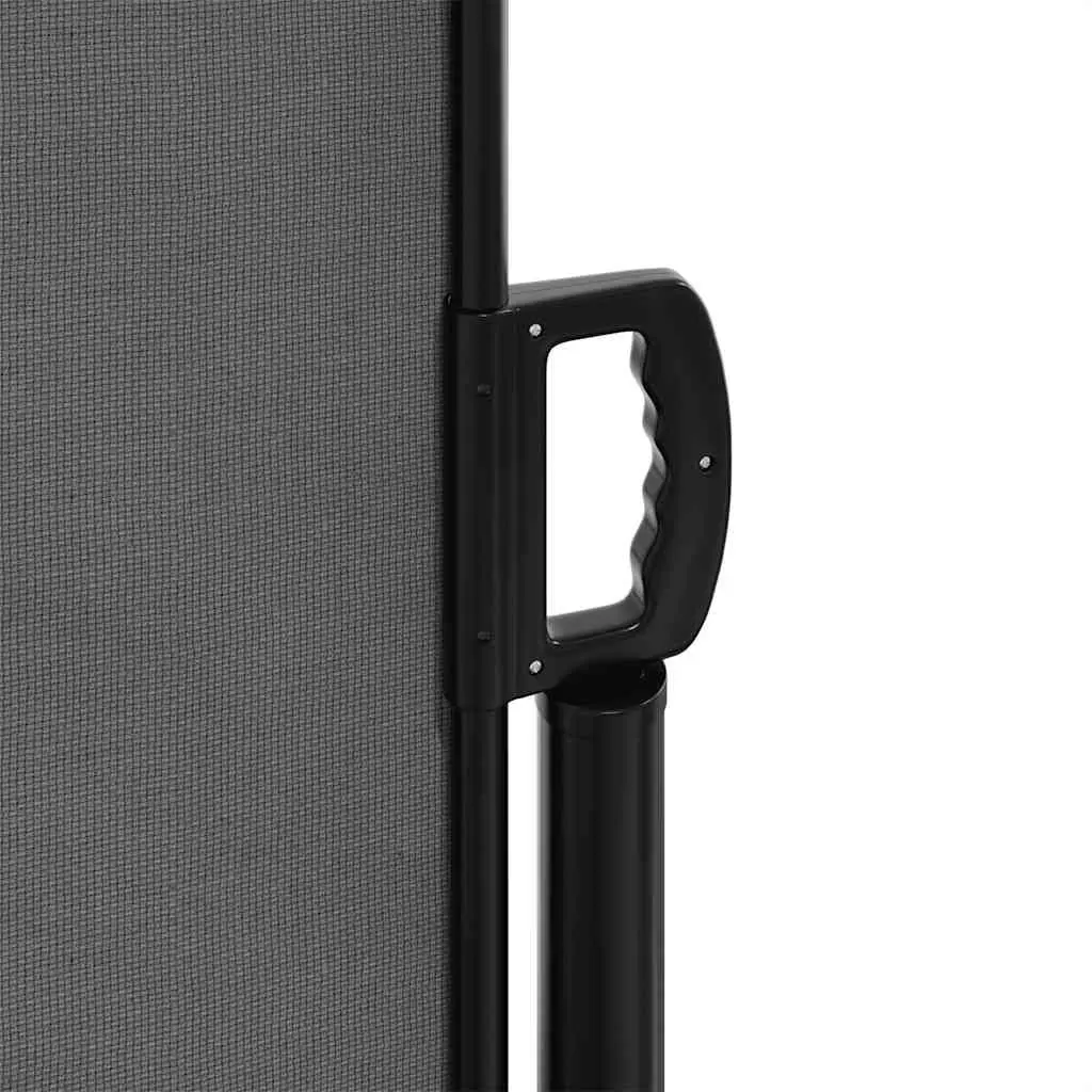 Retractable Side Awning Privacy Screen Polyester 200 x 300 cm Anthracite