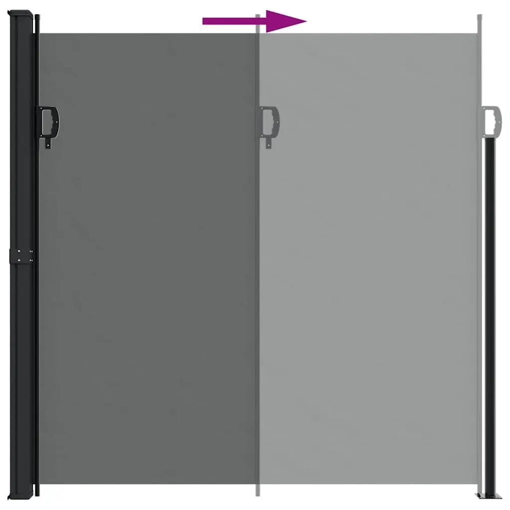 Retractable Side Awning Privacy Screen Polyester 200 x 300 cm Anthracite