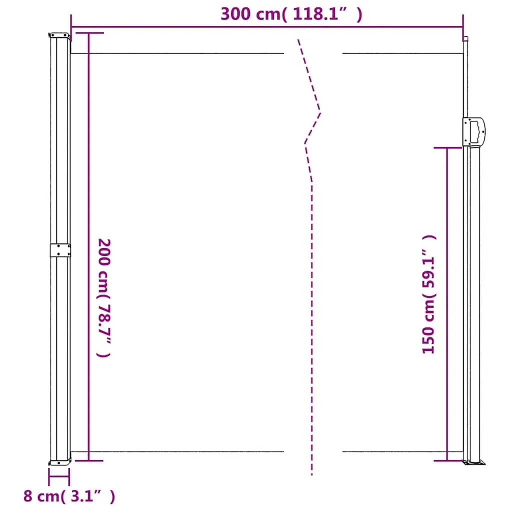 Retractable Side Awning Privacy Screen Polyester 200 x 300 cm Anthracite