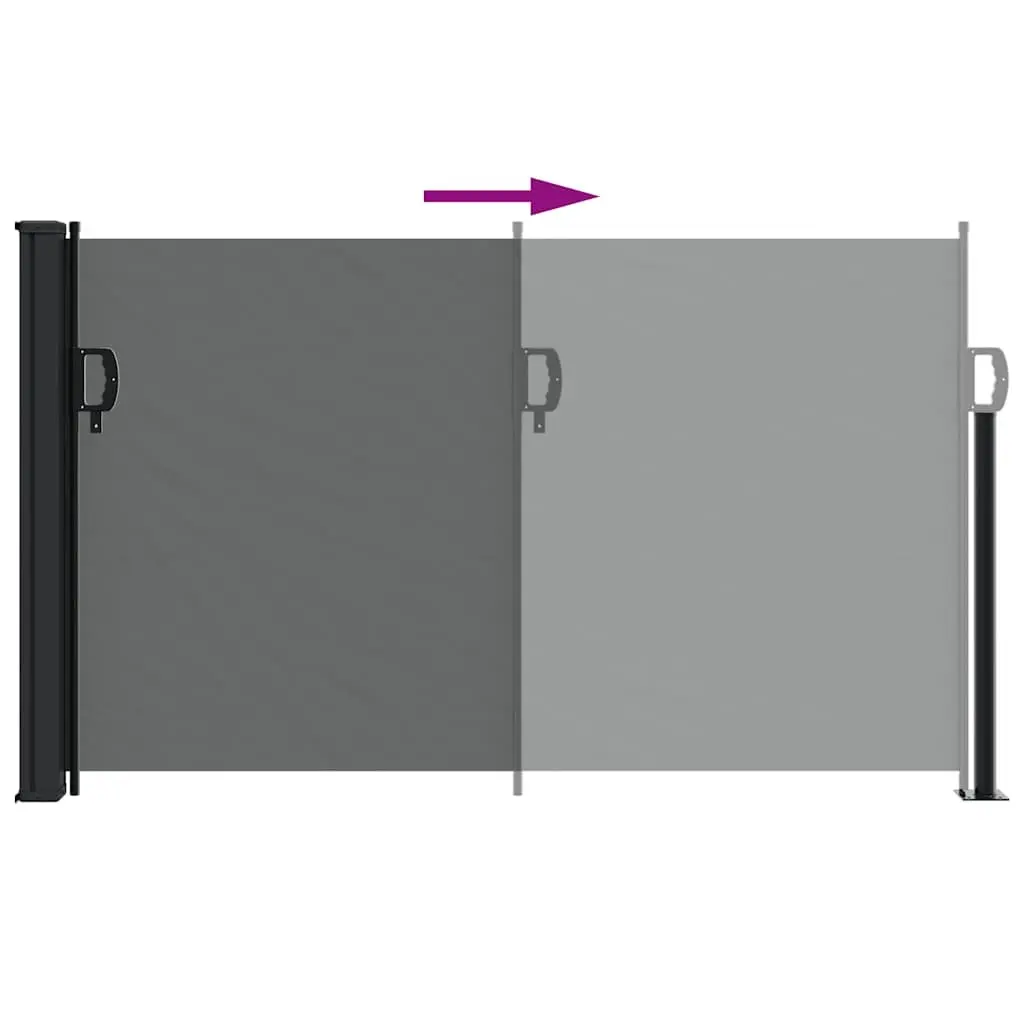 Retractable Awning Privacy Screen Anthracite 120x600cm Outdoor Shade Garden Patio
