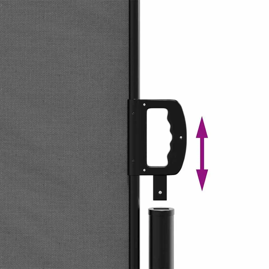 Retractable Side Awning Polyester 160x600cm Anthracite Garden Privacy Screen