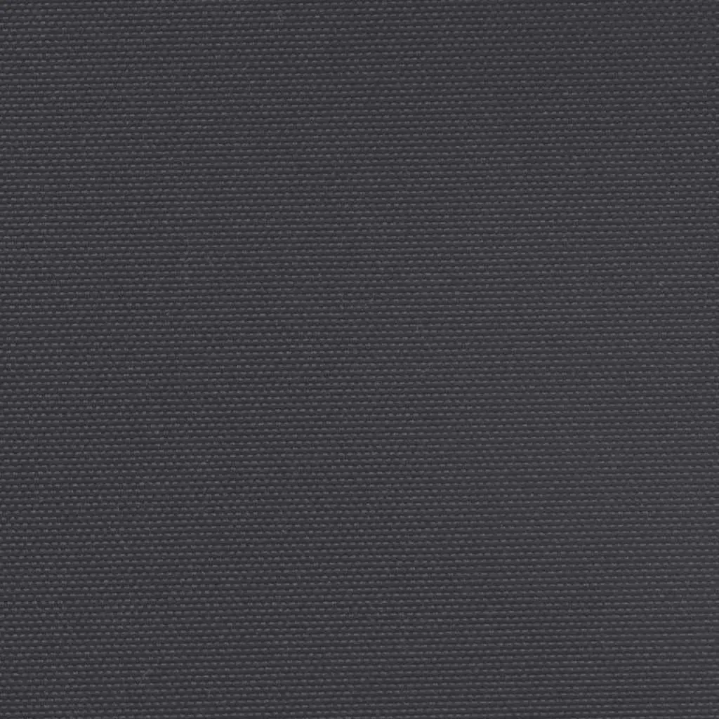 Retractable Side Awning Polyester 220x600cm Black Garden Privacy Screen Patio Balcony Shade