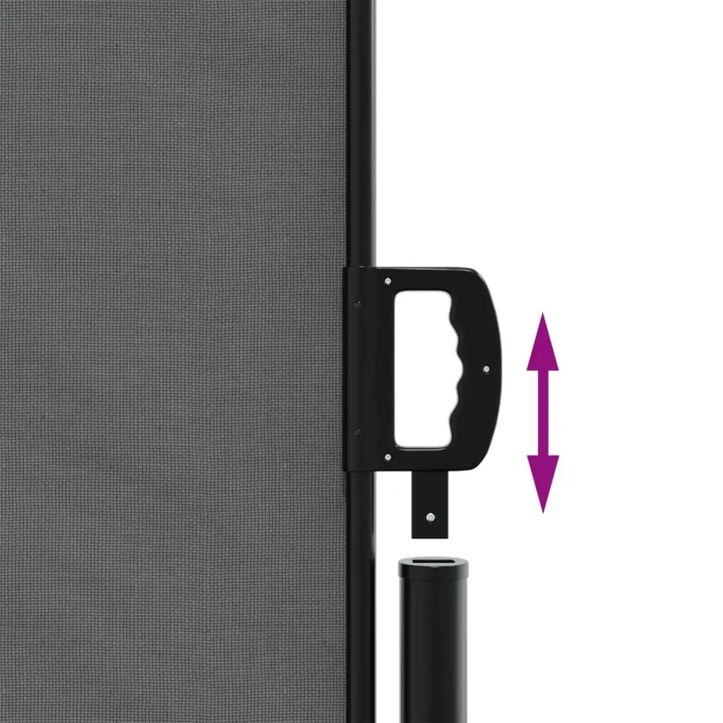Retractable Awning Privacy Screen Anthracite Outdoor Garden 180x1000cm Balcony Terrace Patio