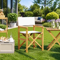 Versatile Folding Director's Chair for Various Spaces