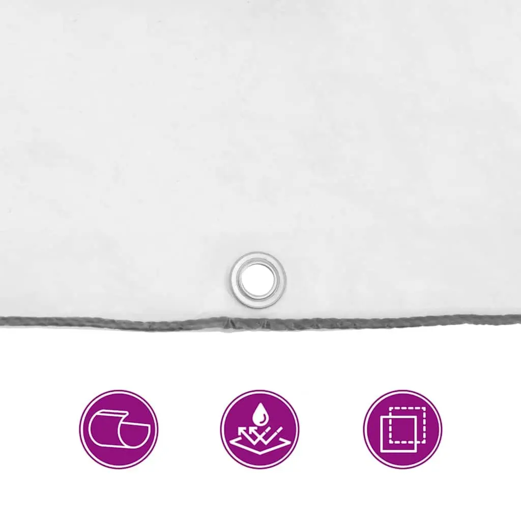 Clear Polyethylene Tarpaulin with Eyelets 2x3 m Garden Outdoor Waterproof Cover