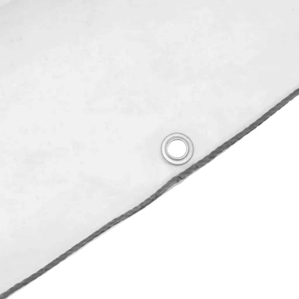 Clear Polyethylene Tarpaulin 3x6m Transparent with Eyelets for Waterproof Garden Outdoor Cover