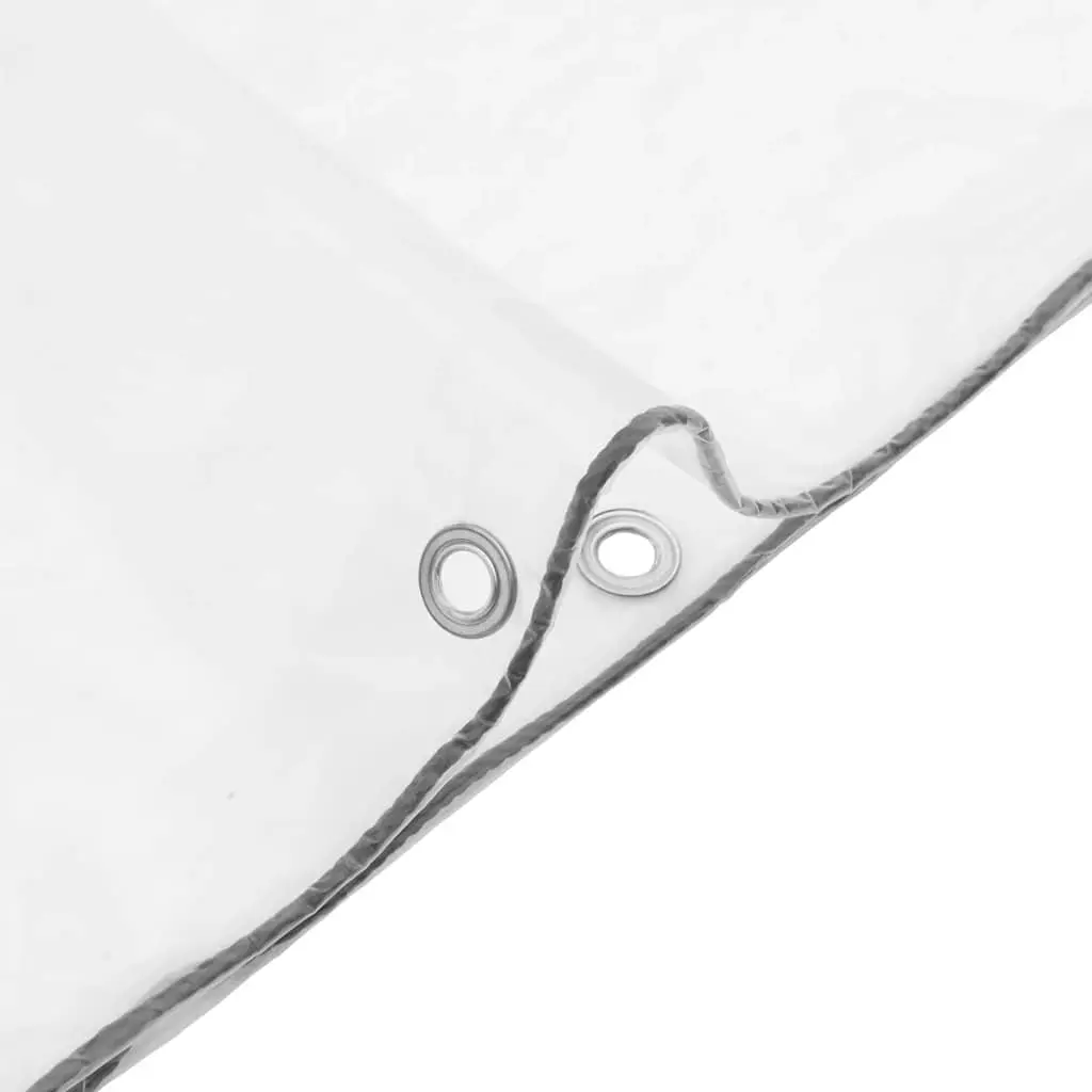 Clear Polyethylene Tarpaulin 3x6m Transparent with Eyelets for Waterproof Garden Outdoor Cover