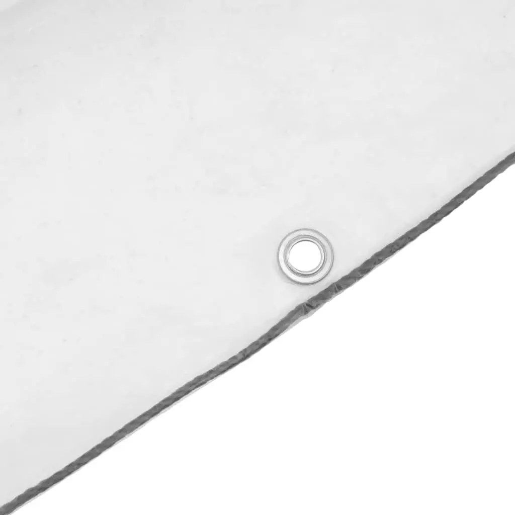 Clear Tarpaulin Polyethylene 3x8m Transparent Waterproof Cover